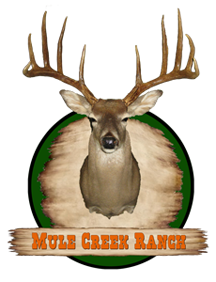 mule-creek-ranch-banner-deer0